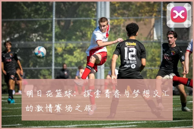 明日花篮球：探索青春与梦想交汇的激情赛场之旅