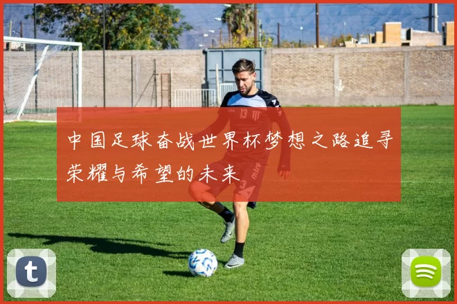 中国足球奋战世界杯梦想之路追寻荣耀与希望的未来